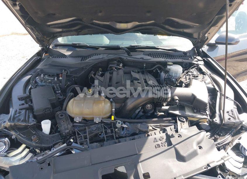 Photo 10 of 2019 Ford Mustang ECOBOOST (VIN 1FA6P8TH9K5176353)