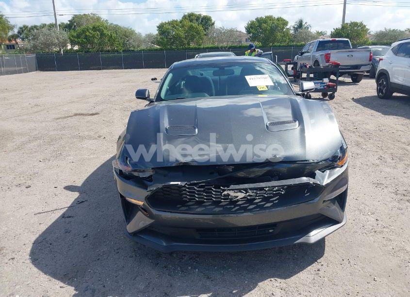 Photo 12 of 2019 Ford Mustang ECOBOOST (VIN 1FA6P8TH9K5176353)