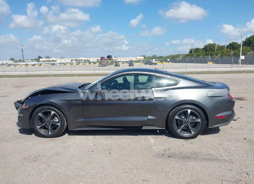 Photo 14 of 2019 Ford Mustang ECOBOOST (VIN 1FA6P8TH9K5176353)