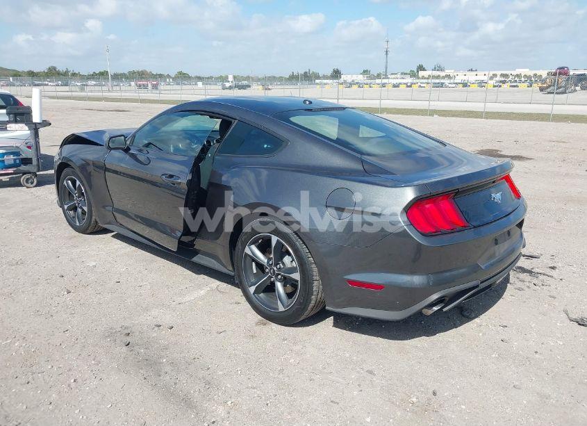 Photo 3 of 2019 Ford Mustang ECOBOOST (VIN 1FA6P8TH9K5176353)