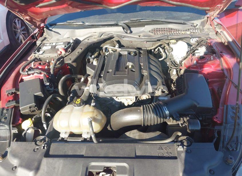 Photo 10 of 2019 Ford Mustang ECOBOOST (VIN 1FA6P8TH9K5199731)