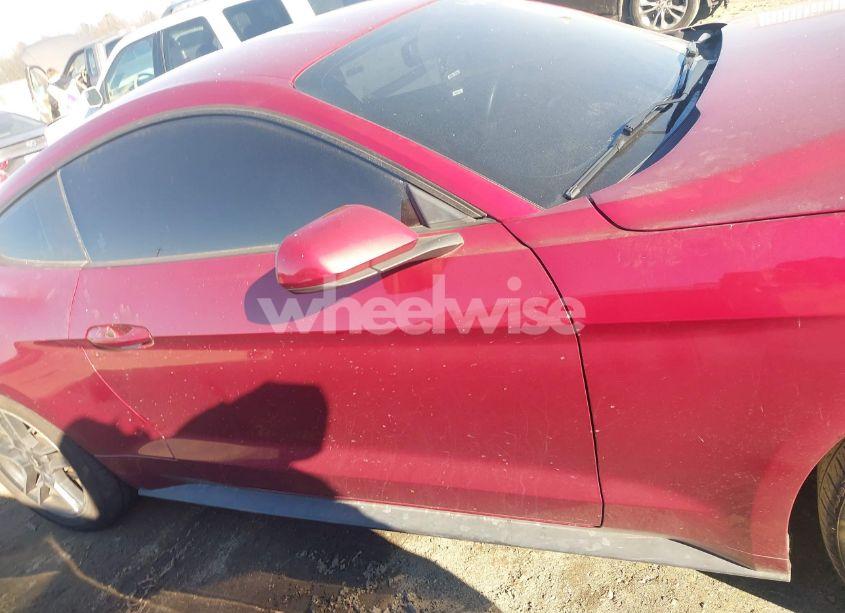 Photo 13 of 2019 Ford Mustang ECOBOOST (VIN 1FA6P8TH9K5199731)