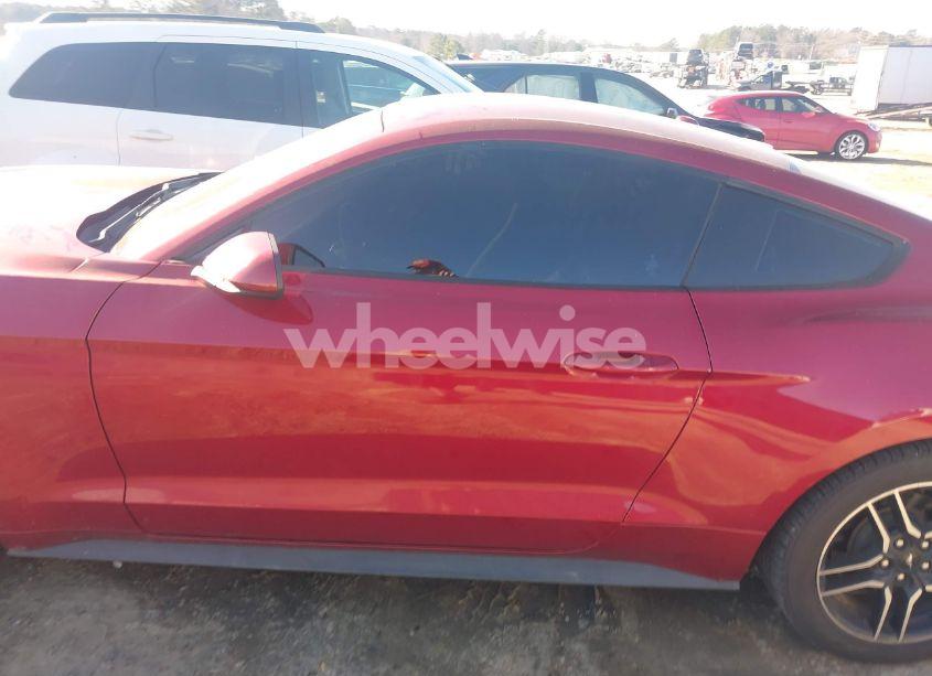 Photo 14 of 2019 Ford Mustang ECOBOOST (VIN 1FA6P8TH9K5199731)