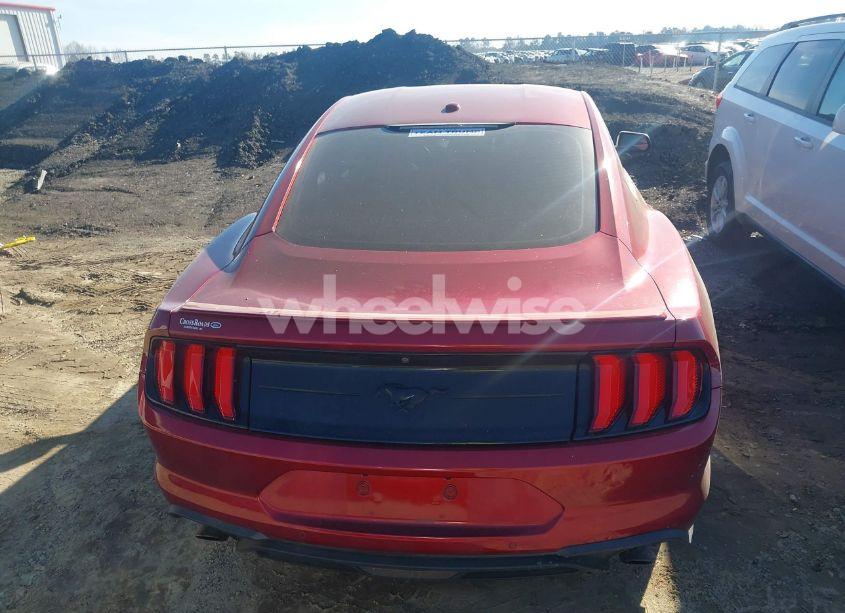 Photo 16 of 2019 Ford Mustang ECOBOOST (VIN 1FA6P8TH9K5199731)