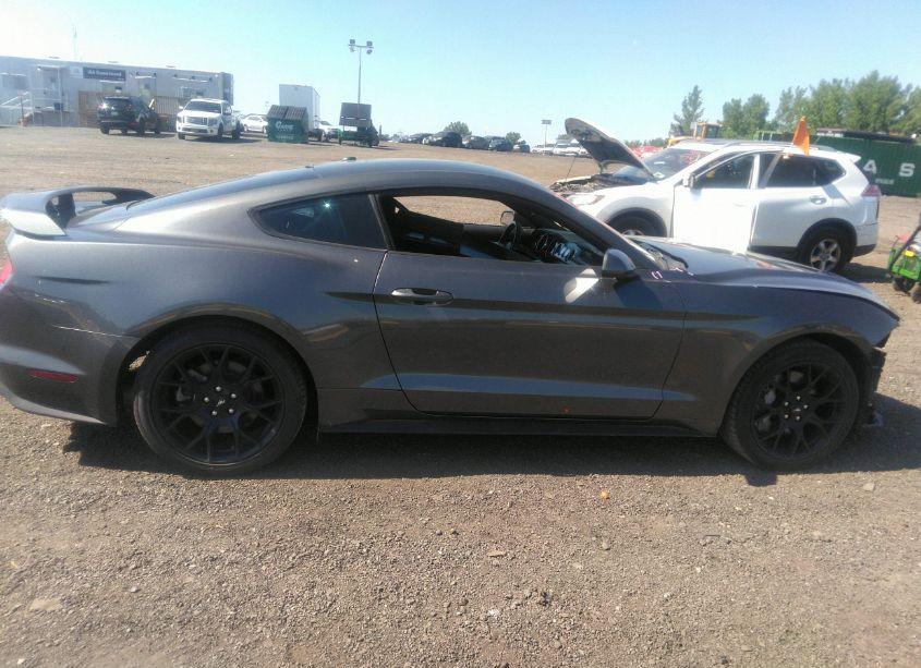 Photo 13 of 2019 Ford Mustang ECOBOOST (VIN 1FA6P8TH9K5200893)