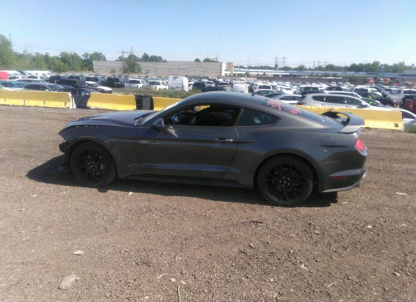 Photo 14 of 2019 Ford Mustang ECOBOOST (VIN 1FA6P8TH9K5200893)