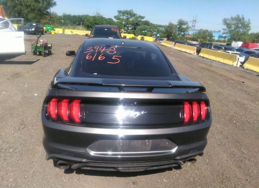 Photo 16 of 2019 Ford Mustang ECOBOOST (VIN 1FA6P8TH9K5200893)