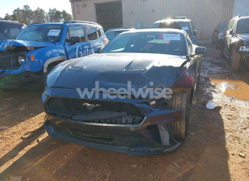 Photo 12 of 2020 Ford Mustang ECOBOOST FASTBACK (VIN 1FA6P8TH9L5113805)