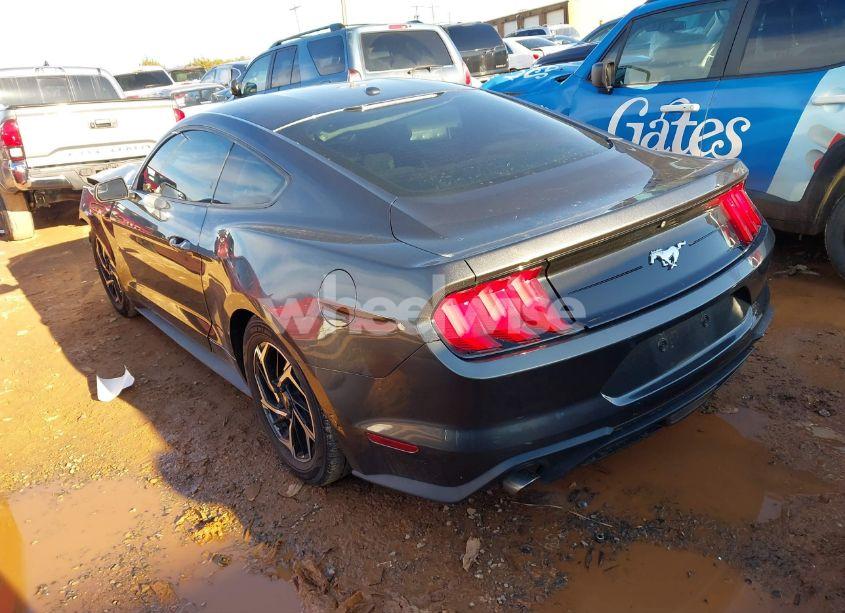 Photo 3 of 2020 Ford Mustang ECOBOOST FASTBACK (VIN 1FA6P8TH9L5113805)