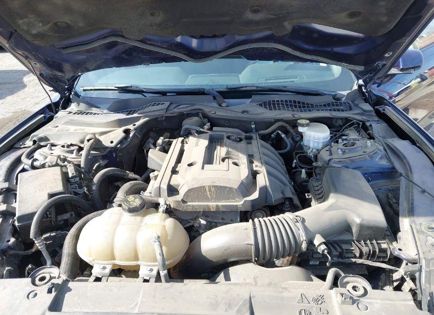 Photo 10 of 2020 Ford Mustang ECOBOOST (VIN 1FA6P8TH9L5133973)