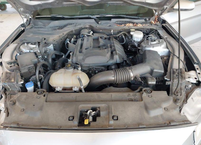 Photo 10 of 2020 Ford Mustang ECOBOOST PREMIUM (VIN 1FA6P8TH9L5138977)