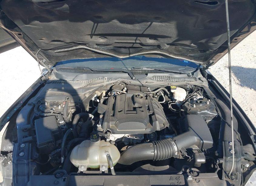 Photo 10 of 2020 Ford Mustang ECOBOOST FASTBACK (VIN 1FA6P8TH9L5154581)