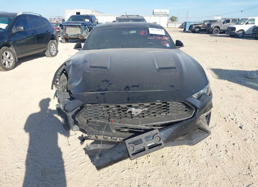 Photo 13 of 2020 Ford Mustang ECOBOOST FASTBACK (VIN 1FA6P8TH9L5154581)