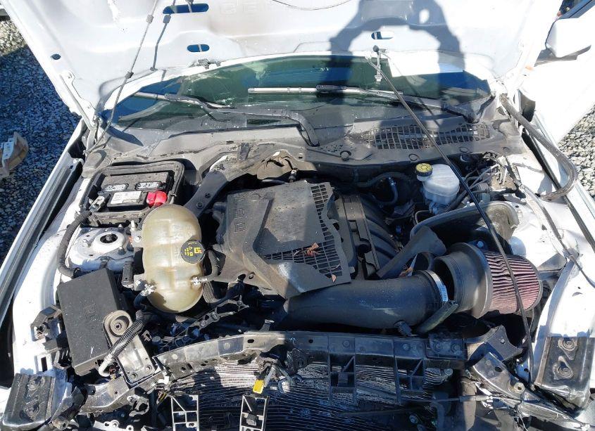 Photo 10 of 2020 Ford Mustang ECOBOOST (VIN 1FA6P8TH9L5182025)