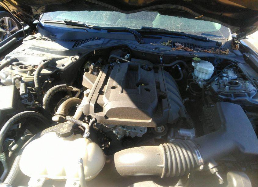 Photo 10 of 2020 Ford Mustang ECOBOOST FASTBACK (VIN 1FA6P8TH9L5182364)