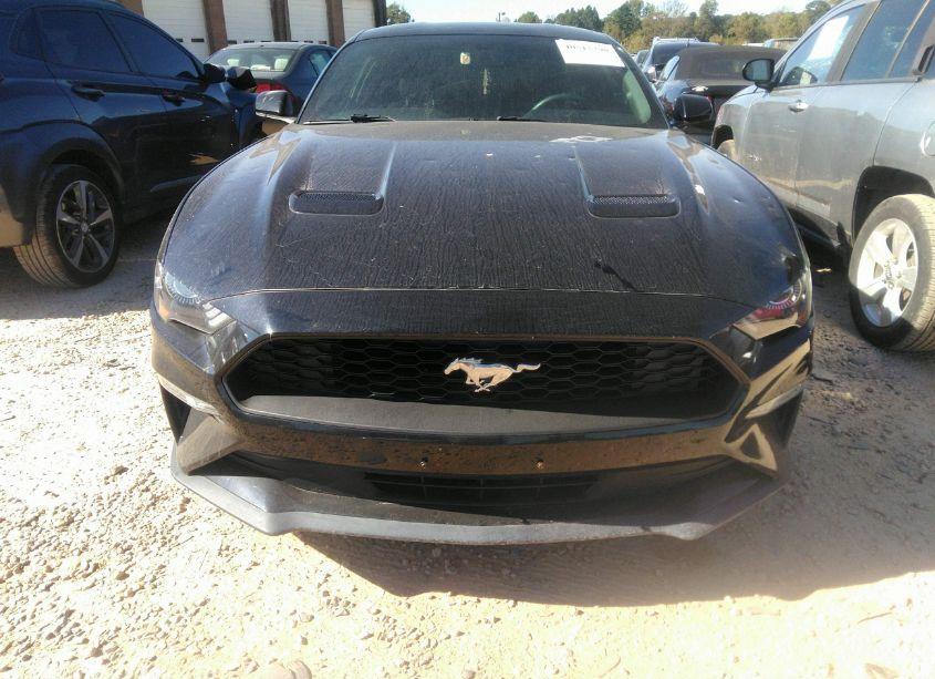 Photo 12 of 2020 Ford Mustang ECOBOOST FASTBACK (VIN 1FA6P8TH9L5182364)