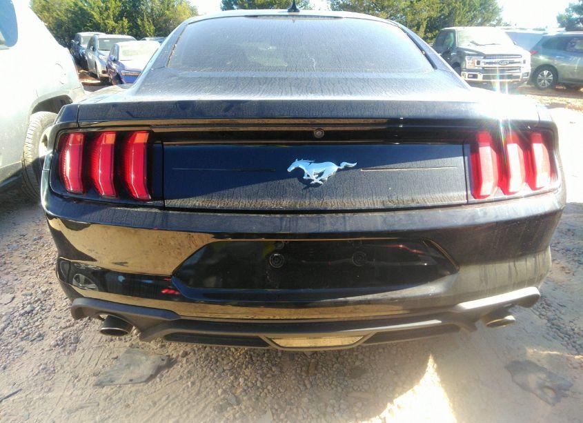 Photo 16 of 2020 Ford Mustang ECOBOOST FASTBACK (VIN 1FA6P8TH9L5182364)