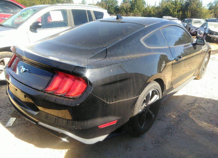 Photo 4 of 2020 Ford Mustang ECOBOOST FASTBACK (VIN 1FA6P8TH9L5182364)