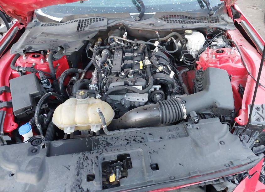 Photo 10 of 2021 Ford Mustang ECOBOOST PREMIUM (VIN 1FA6P8TH9M5108170)