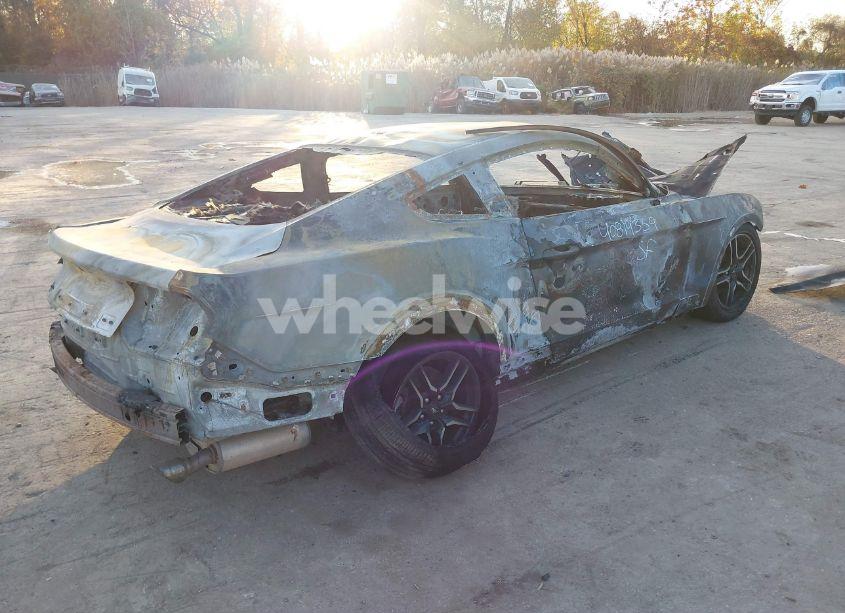 Photo 4 of 2021 Ford Mustang ECOBOOST (VIN 1FA6P8TH9M5119072)