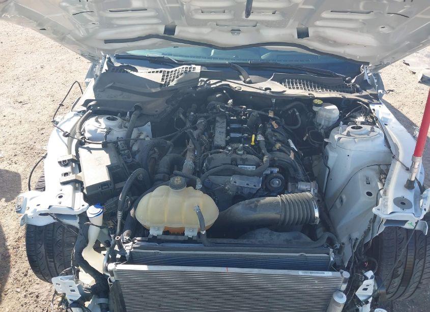 Photo 10 of 2021 Ford Mustang ECOBOOST PREMIUM (VIN 1FA6P8TH9M5140505)