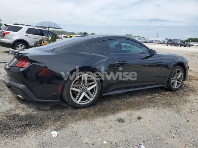 Photo 12 of 2024 FORD MUSTANG (VIN 1FA6P8TH9R5109245)
