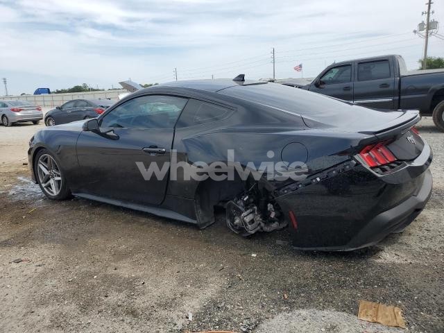 Photo 7 of 2024 FORD MUSTANG (VIN 1FA6P8TH9R5109245)