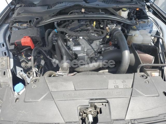 Photo 8 of 2024 FORD MUSTANG (VIN 1FA6P8TH9R5110217)