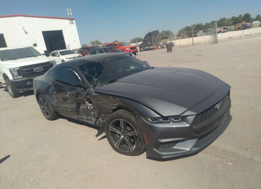 2024 Ford Mustang ECOBOOST (VIN 1FA6P8TH9R5131360) main photo