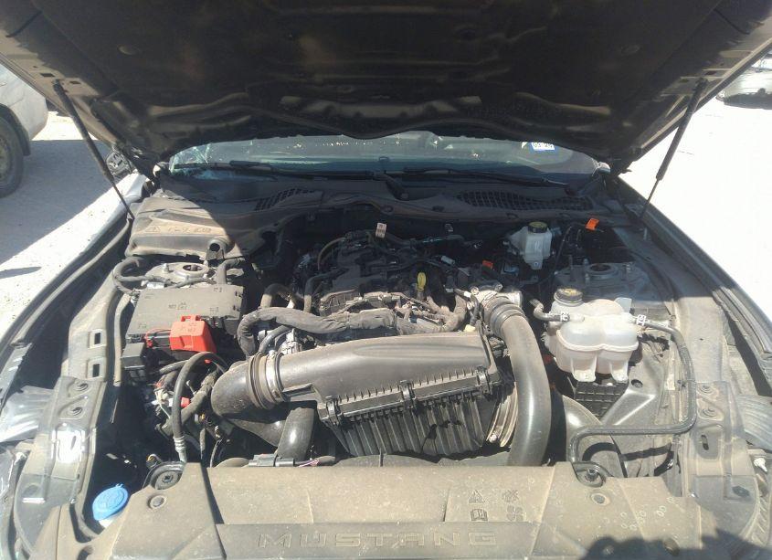 Photo 10 of 2024 Ford Mustang ECOBOOST (VIN 1FA6P8TH9R5131360)