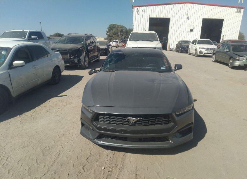 Photo 12 of 2024 Ford Mustang ECOBOOST (VIN 1FA6P8TH9R5131360)