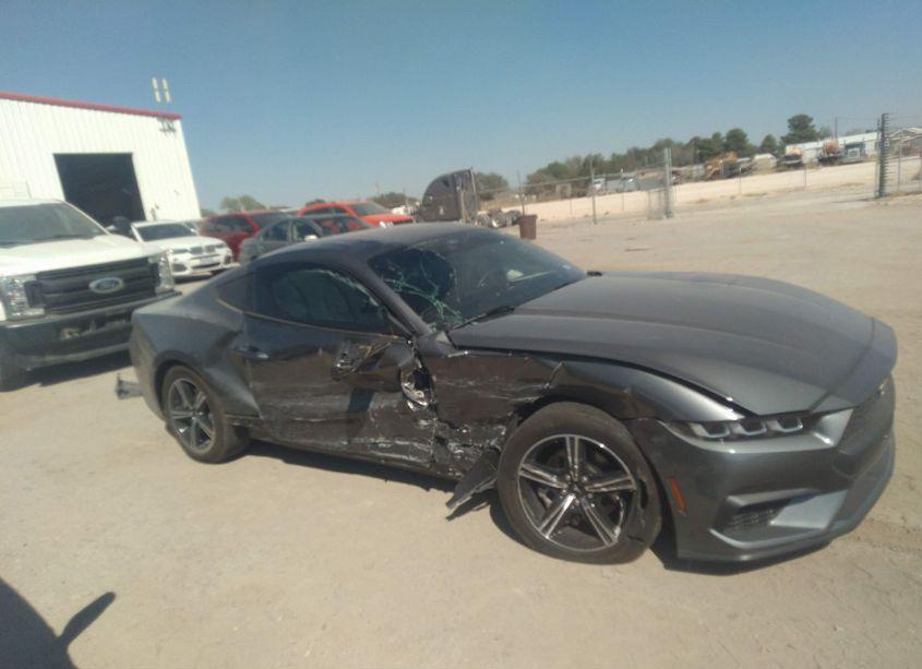 Photo 13 of 2024 Ford Mustang ECOBOOST (VIN 1FA6P8TH9R5131360)