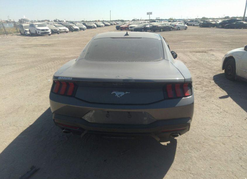 Photo 16 of 2024 Ford Mustang ECOBOOST (VIN 1FA6P8TH9R5131360)