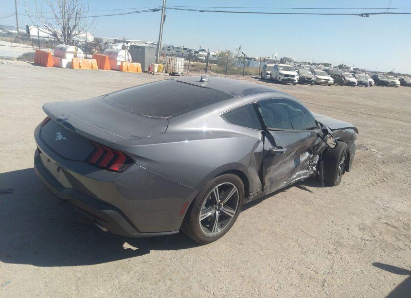 Photo 4 of 2024 Ford Mustang ECOBOOST (VIN 1FA6P8TH9R5131360)
