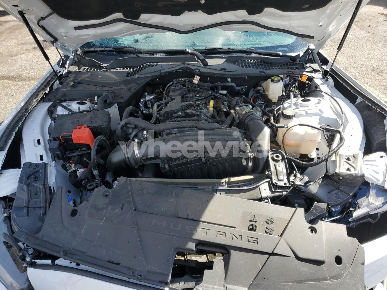 Photo 11 of 2024 FORD MUSTANG (VIN 1FA6P8TH9R5140527)