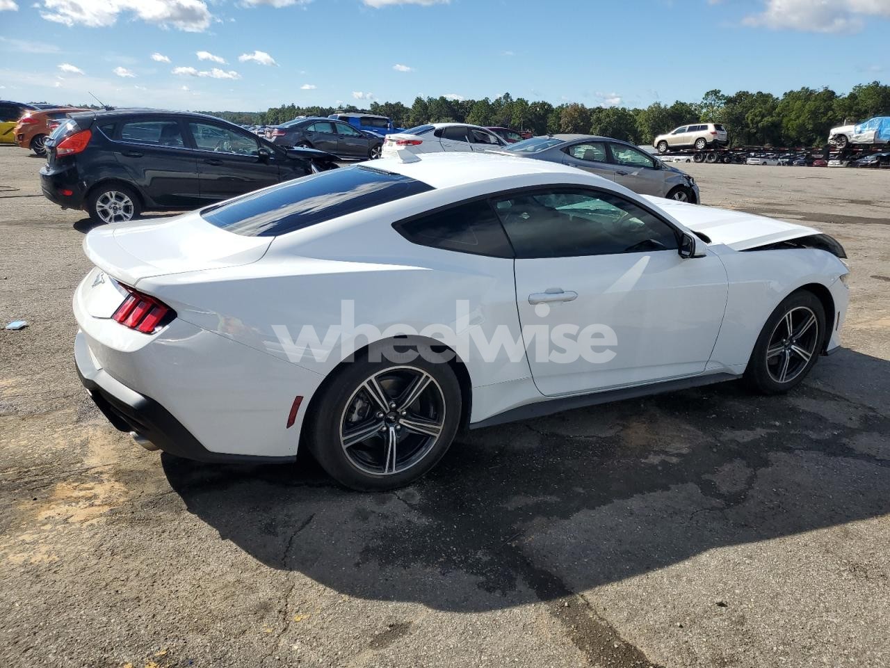 Photo 3 of 2024 FORD MUSTANG (VIN 1FA6P8TH9R5140527)
