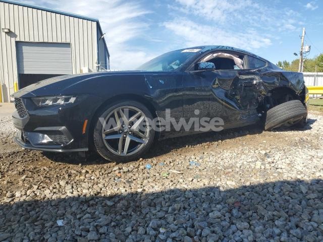 2025 FORD MUSTANG (VIN 1FA6P8TH9S5102902) main photo