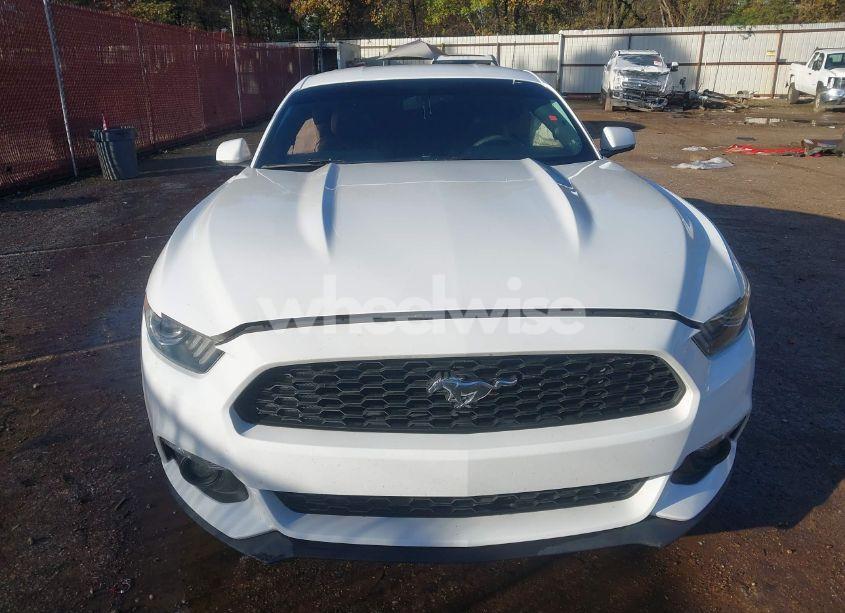 Photo 12 of 2016 Ford Mustang ECOBOOST (VIN 1FA6P8THXG5217208)