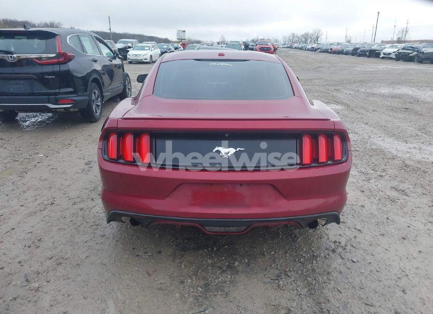 Photo 16 of 2016 Ford Mustang ECOBOOST (VIN 1FA6P8THXG5289753)