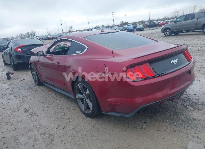 Photo 3 of 2016 Ford Mustang ECOBOOST (VIN 1FA6P8THXG5289753)