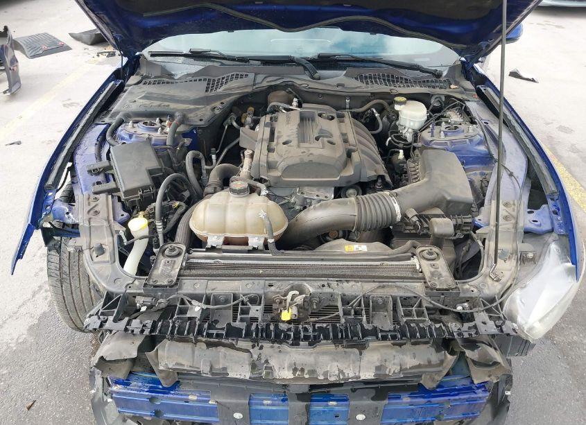 Photo 10 of 2016 Ford Mustang ECOBOOST (VIN 1FA6P8THXG5317860)