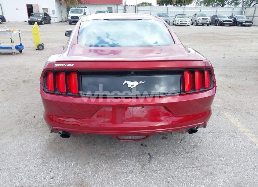 Photo 16 of 2016 Ford Mustang ECOBOOST (VIN 1FA6P8THXG5326560)