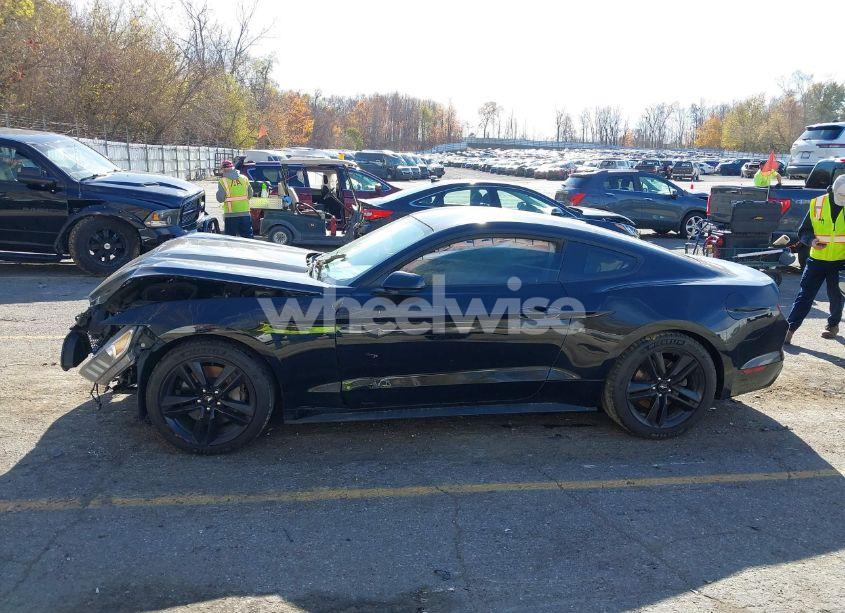 Photo 14 of 2017 Ford Mustang ECOBOOST (VIN 1FA6P8THXH5239050)