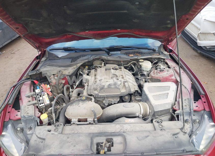 Photo 10 of 2017 Ford Mustang ECOBOOST (VIN 1FA6P8THXH5247083)