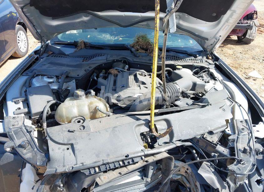 Photo 10 of 2017 Ford Mustang ECOBOOST (VIN 1FA6P8THXH5281735)