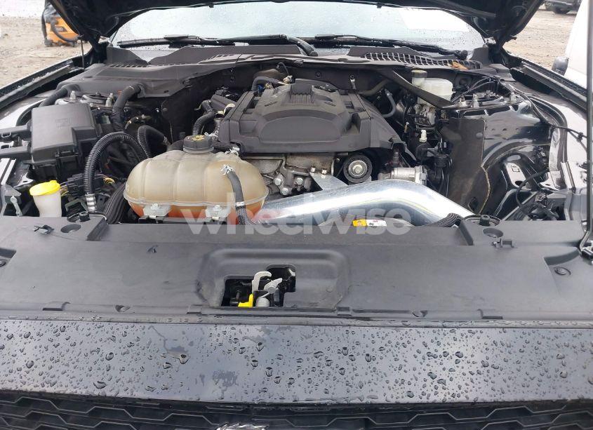 Photo 10 of 2017 Ford Mustang ECOBOOST (VIN 1FA6P8THXH5335888)