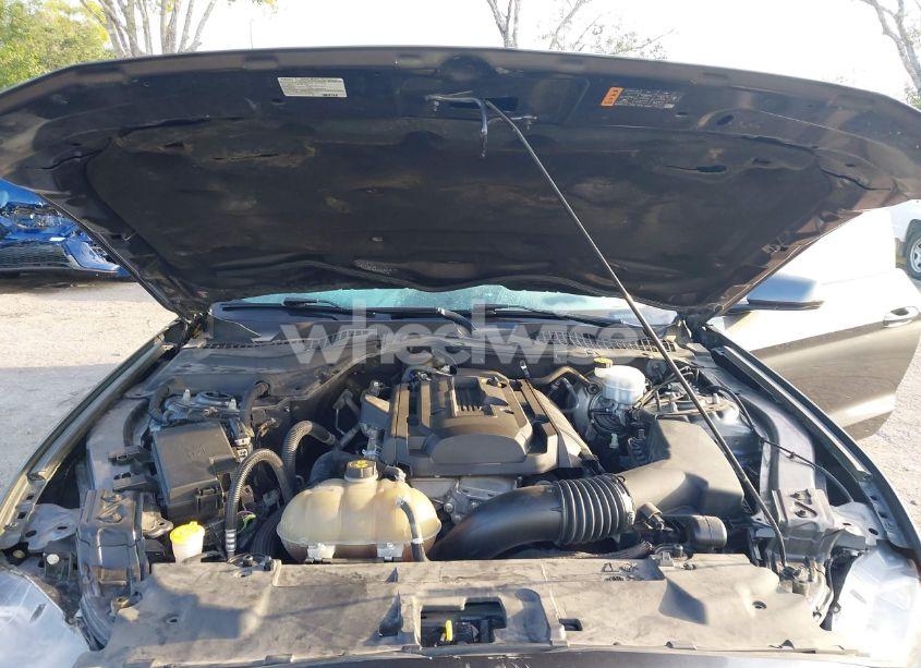 Photo 10 of 2018 Ford Mustang ECOBOOST (VIN 1FA6P8THXJ5172021)