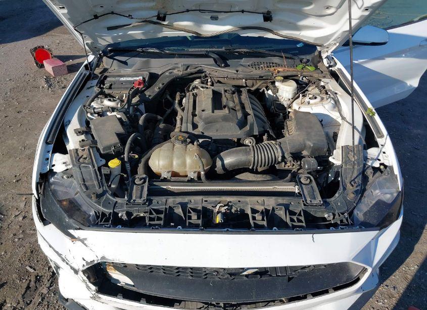 Photo 10 of 2018 Ford Mustang ECOBOOST (VIN 1FA6P8THXJ5184007)