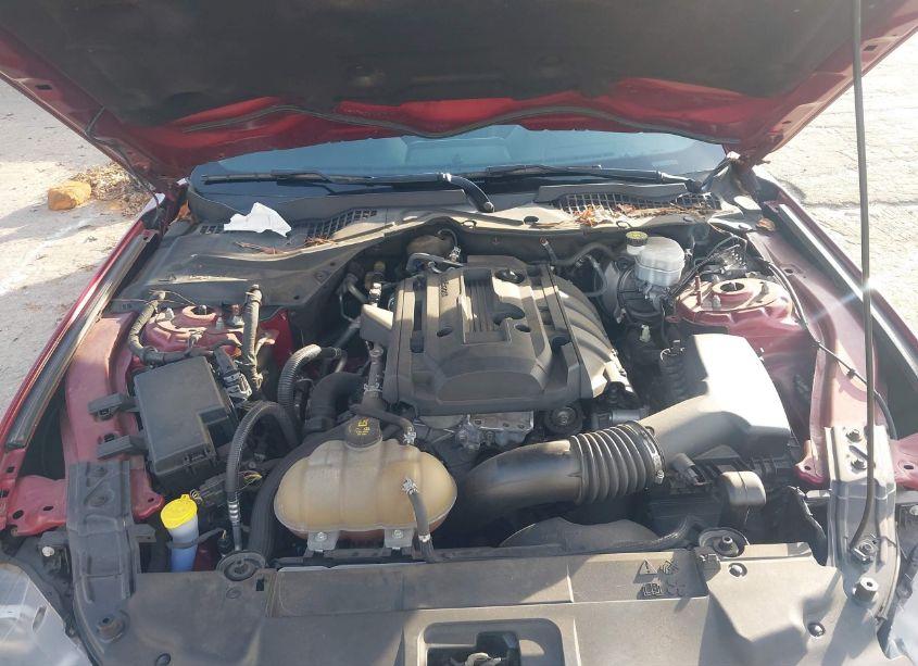 Photo 10 of 2019 Ford Mustang ECOBOOST PREMIUM (VIN 1FA6P8THXK5124178)