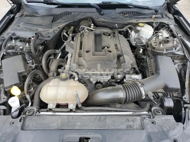 Photo 10 of 2019 FORD MUSTANG (VIN 1FA6P8THXK5166835)